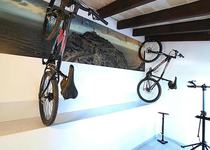 Jaume Ramona Willa *